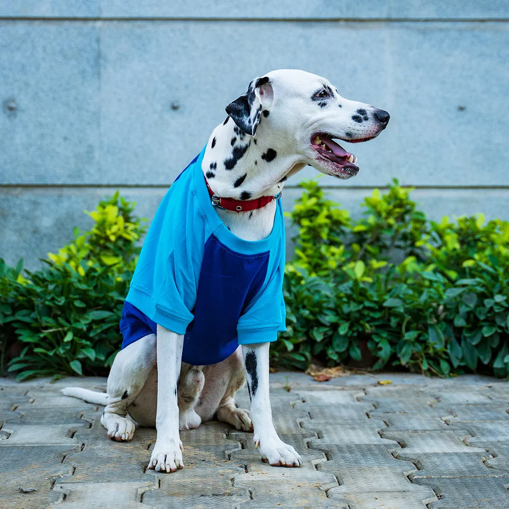 Dear Pet Little Beast Royal Blue Dog T-Shirt