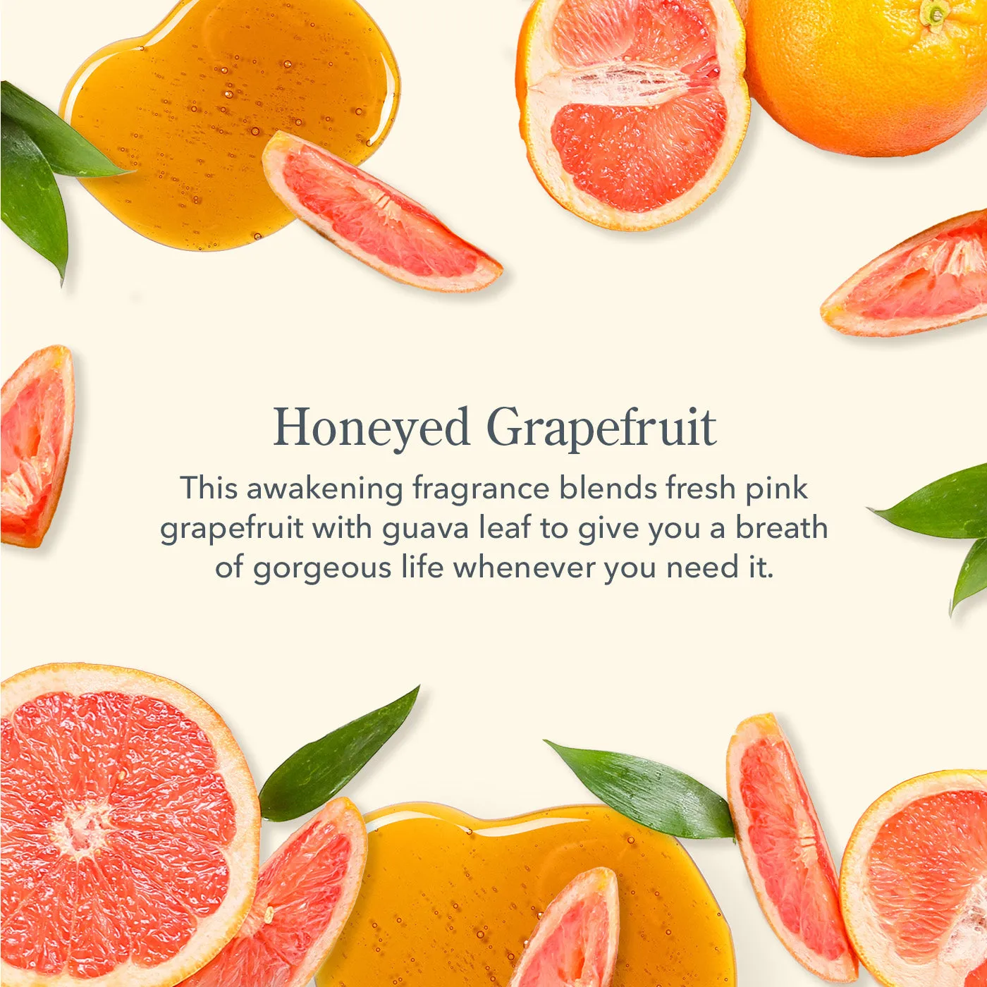 Honeyed Grapefruit Whipped Body Cream