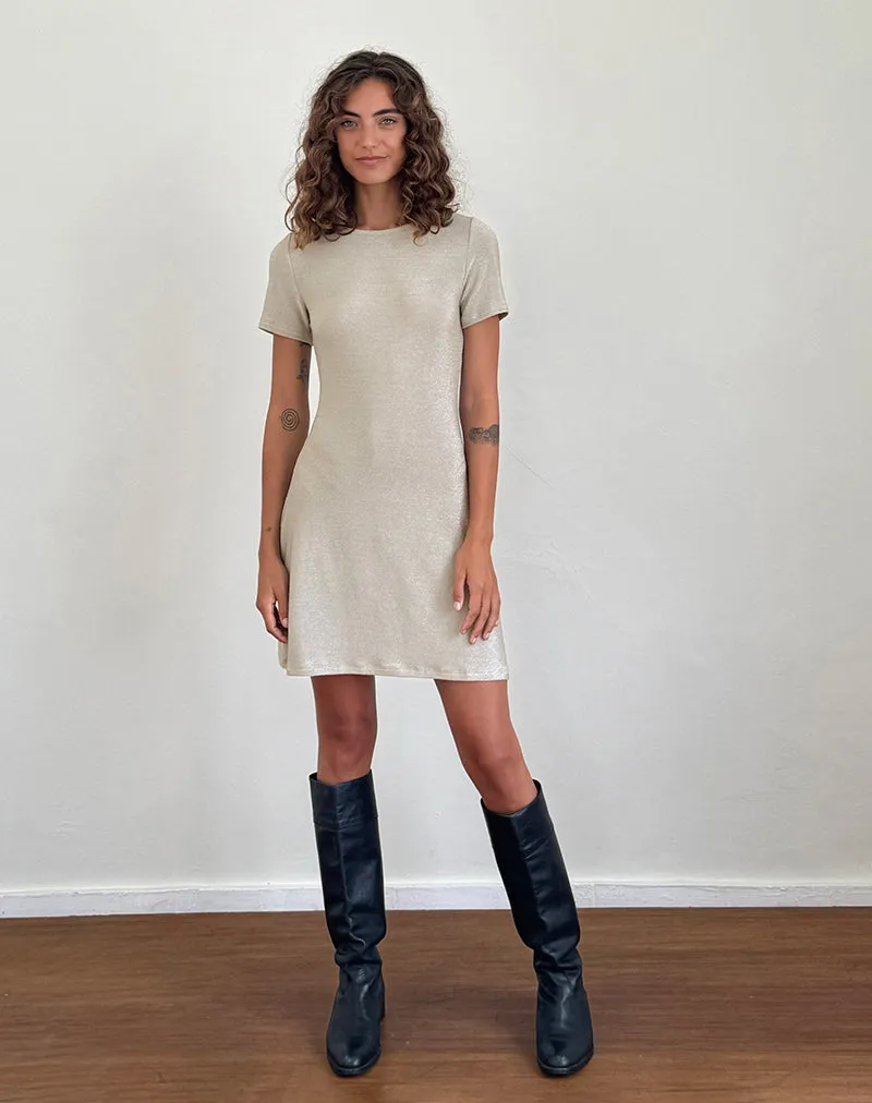 Leora Mini Dress in Silver Mink