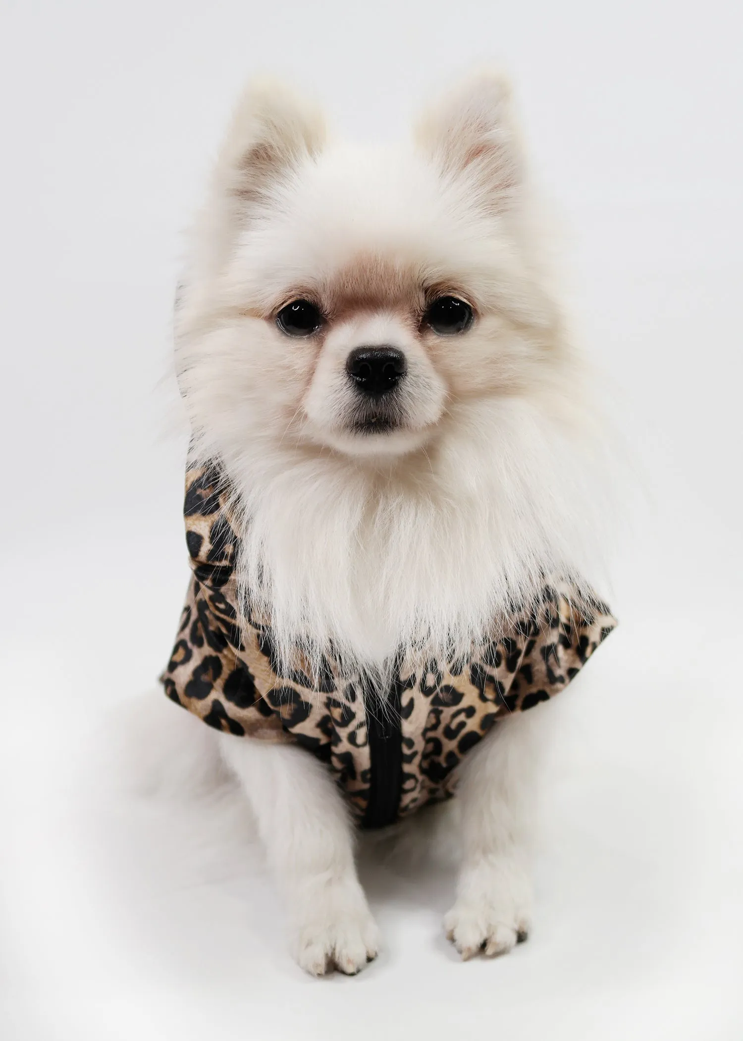 LUX LEOPARD HOODIE