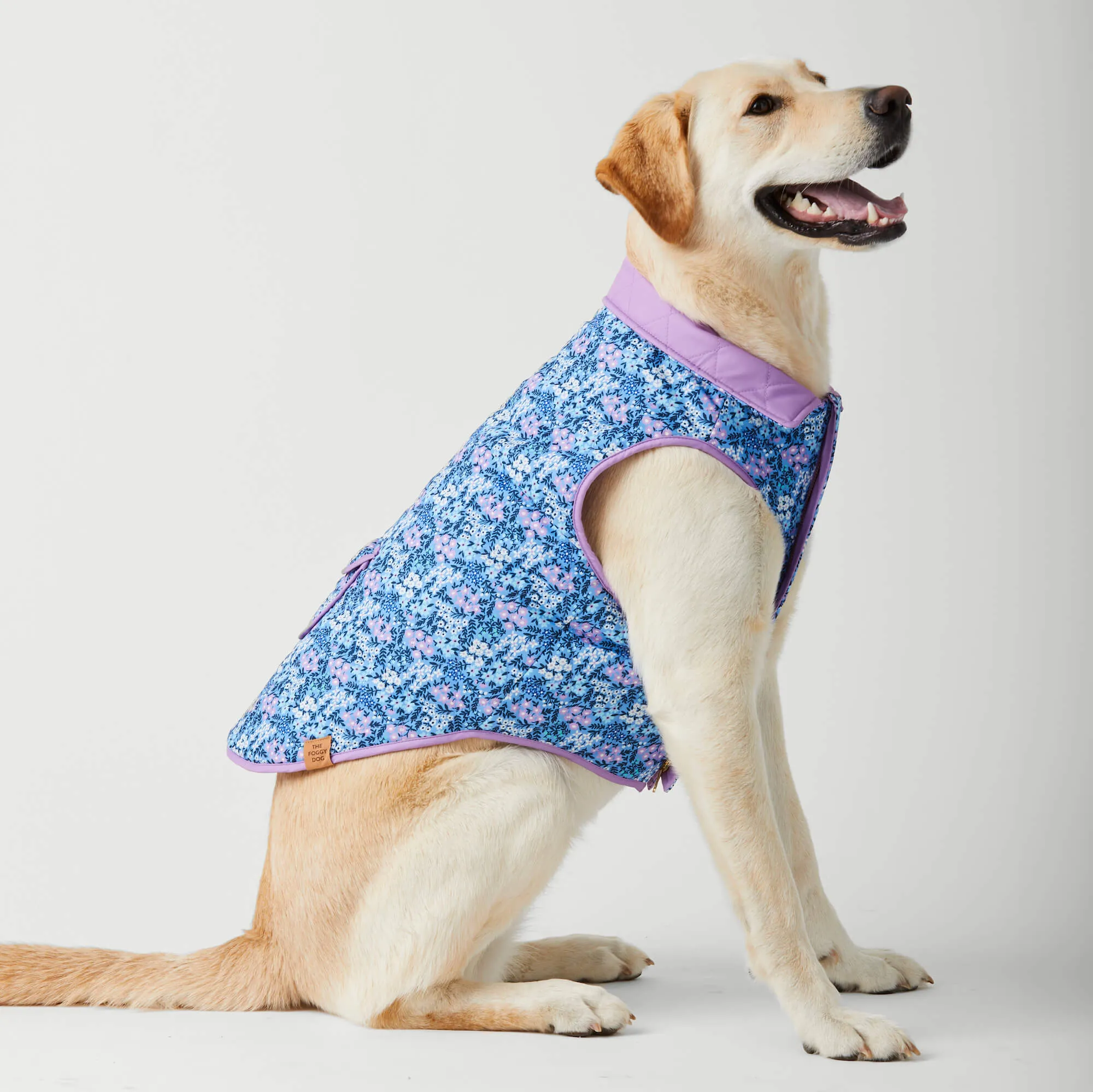 Mini Meadow Reversible Dog Jacket