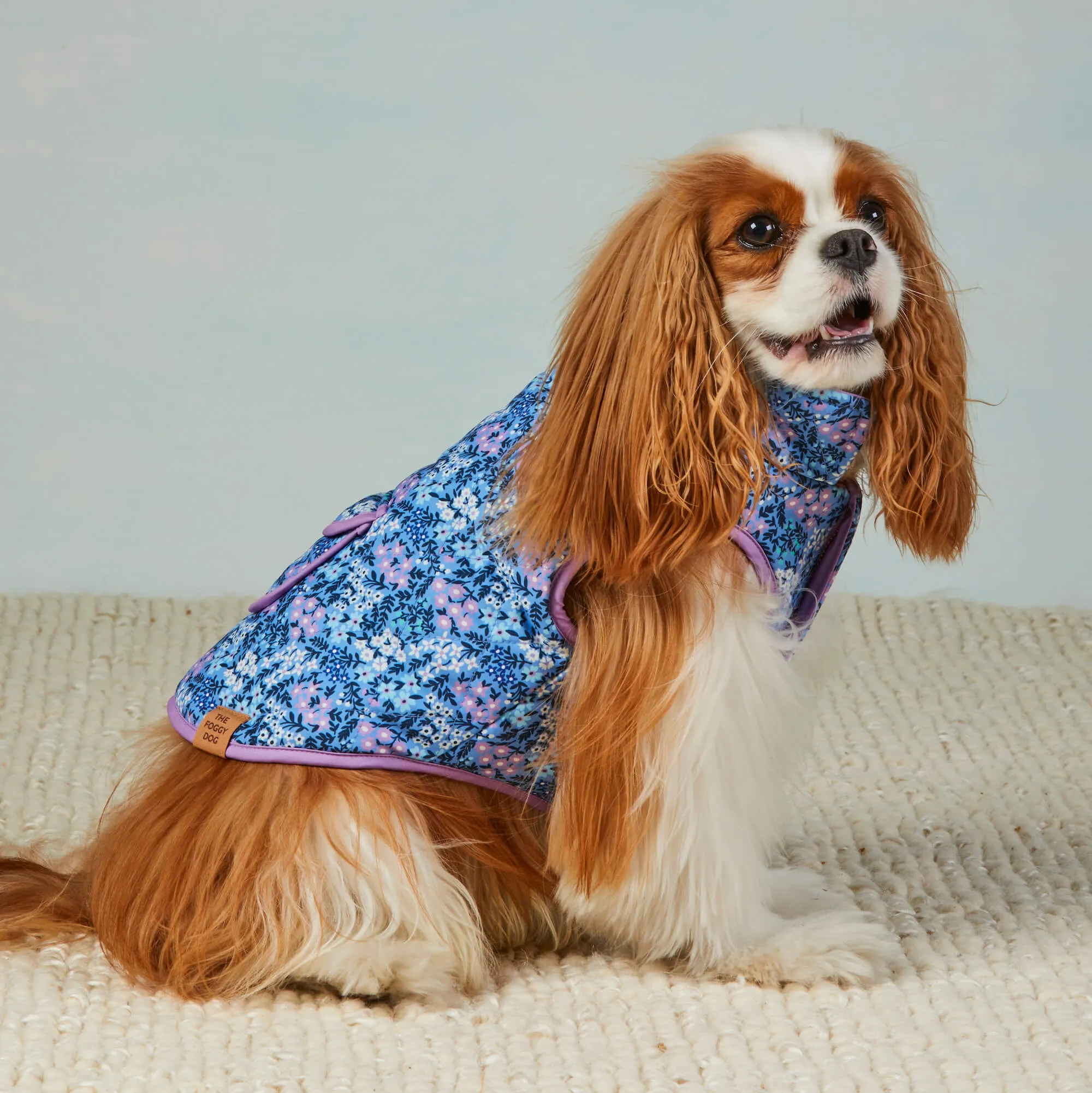 Mini Meadow Reversible Dog Jacket