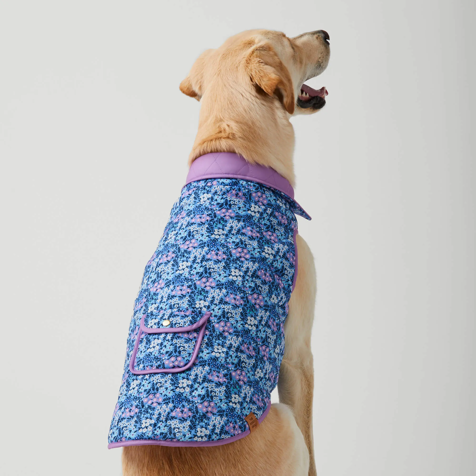 Mini Meadow Reversible Dog Jacket