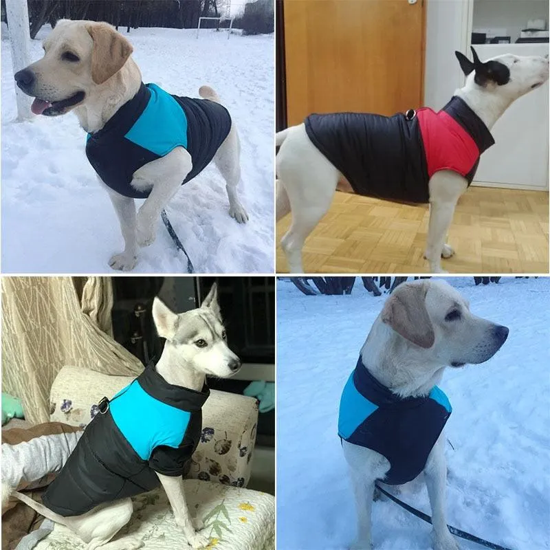 Padded Waterproof Pet Zipper Jacket For Dogs