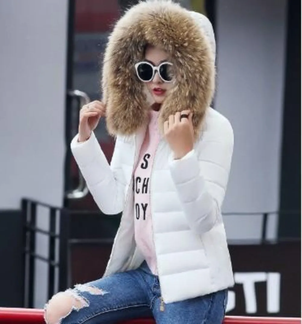 Womens Hooded Slim Fit Winter Zip Up Short Coat