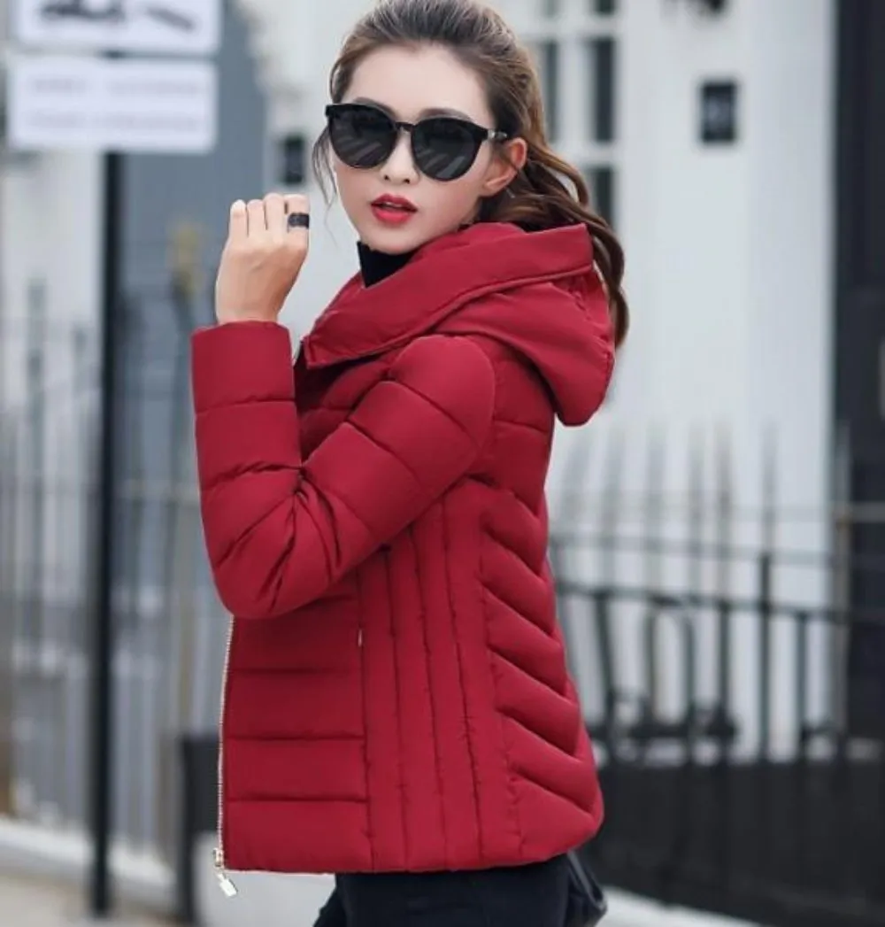 Womens Hooded Slim Fit Winter Zip Up Short Coat