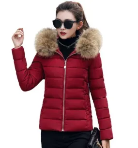 Womens Hooded Slim Fit Winter Zip Up Short Coat